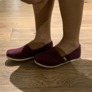 Maroon TOMS